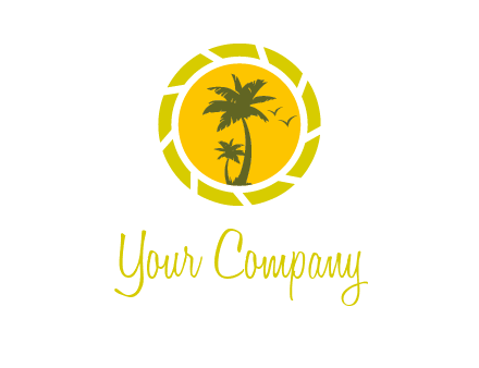 palm trees in sun shutter photography logo