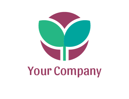 circle behind leaves